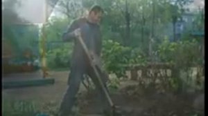 Как мы готовимся к конкурсу "Цветущий город"