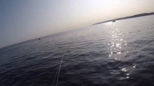 Ловля терпуга на вечерке в Уссурийском Заливе