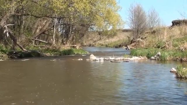 Беспута 2011 смотреть онлайн