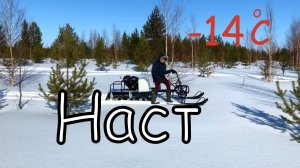Катаемся по насту на мотобуксировщике /Максимальная скорость/