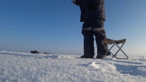 Первая рыбалка на судака