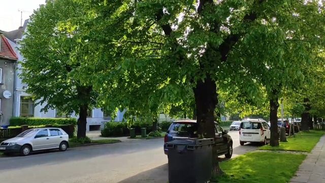 Как проходит наш карантин. Поездка в Крнов. смотреть онлайн