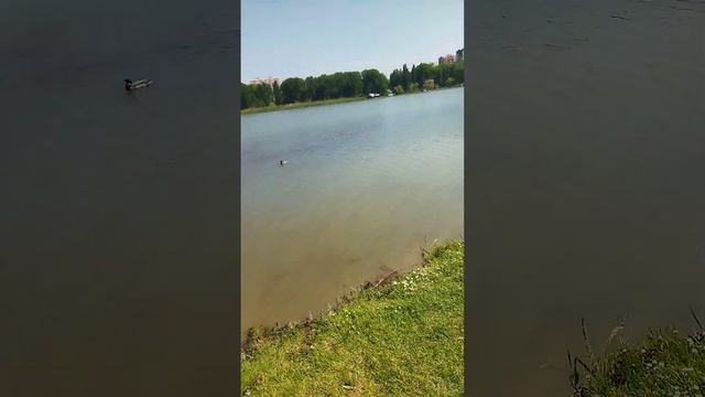 парк Солнечный остров//Краснодар//15.05.2023 смотреть онлайн