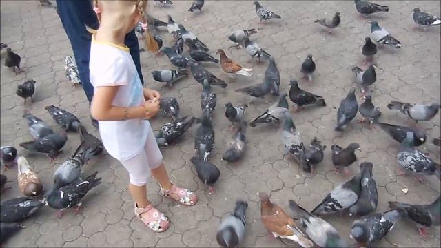 VLOG Спортивный праздник на Театральной площади Кормим голубей Катаемся на гироскутере смотреть онлайн