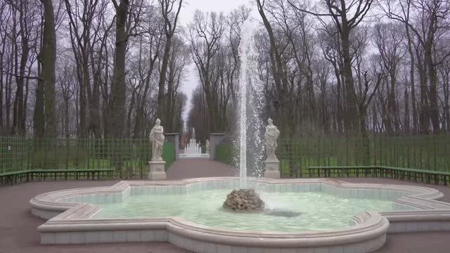 Выставка «Петра творенье - Петербург» и торжественная посадка саженца дуба Петра I в Летнем саду.