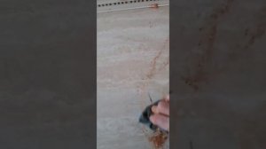 Как убрать царапины с кафеля