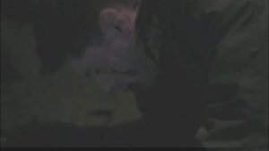 Клип Сверхъестественное Dean Winchester