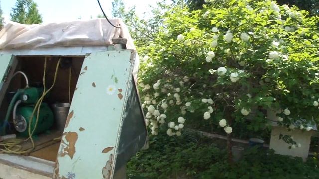 Папа вырыл и забетонировал 5-и метровый колодец в возрасте за 70 смотреть онлайн