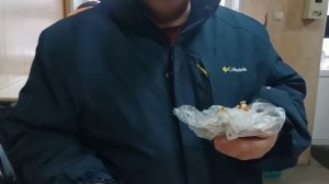 ТАГАНРОГ СЕГОДНЯ. БЕЛЯШИ РЕШИЛИ ПОКУШАТЬ?