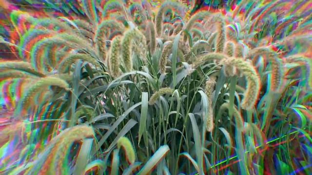 Лисий хвост смотреть онлайн