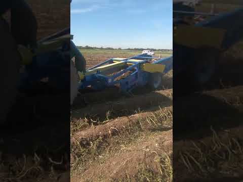 Картофелекопалка для трактора МТЗ