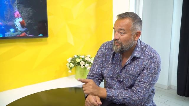 ? Как стать миллионером смотреть онлайн