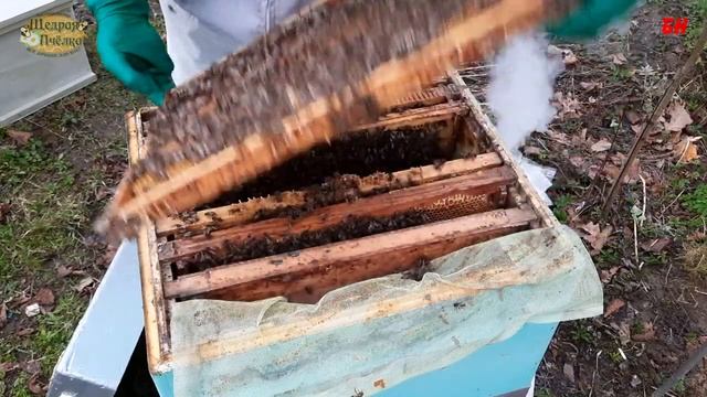 зимовка на канди, все реально смотреть онлайн