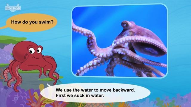 Meet the Animals 44 min | Shark, Alligator, Cheetah, Fox, Bear, Gorilla | Educational Videos смотреть онлайн