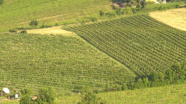 Vienna city, Flohmarkt, #austria, #kahlenberg смотреть онлайн