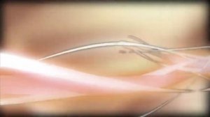 Ленинградская область. Презентация