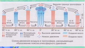 География 7 кл Кopинская §4 Распределение температуры воздуха и осадков на Земле. Воздушные массы