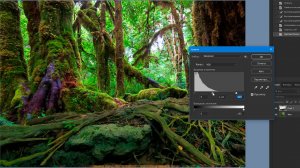 Фотошоп ночной лес