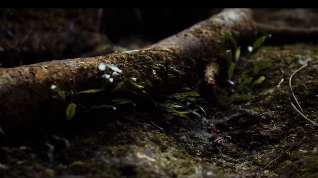 Я ДОВЕРЯЮ ТЕЧЕНИЮ ЖИЗНИ. Короткие аффирмации от Луизы Хей смотреть онлайн