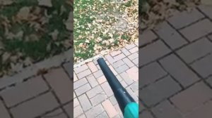 Bosch ALS 30 - воздуходувка и садовый пылесос