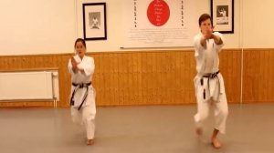 Karate Linköping Shotokan 2016 nybörjarstart info