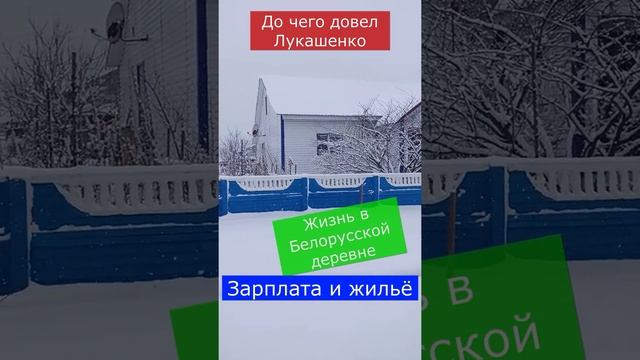 ? Довёл Лукашенко. Зарплата и жильё в Белорусской деревне. СПК "Заря" Мозырского района.