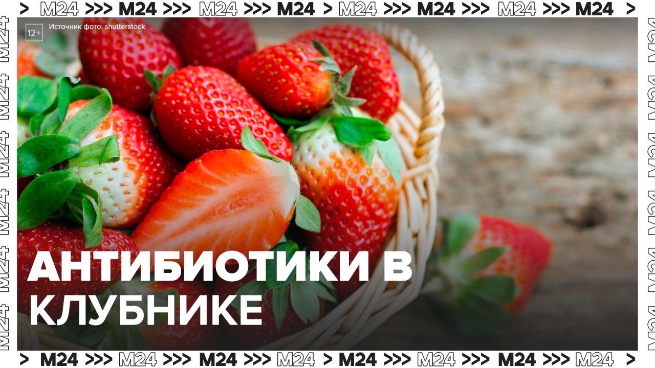 Точки клубники в москве 2024. Клубника в Москве. Очередь за клубникой в Москве. Херсонская клубника в Москве 2024.