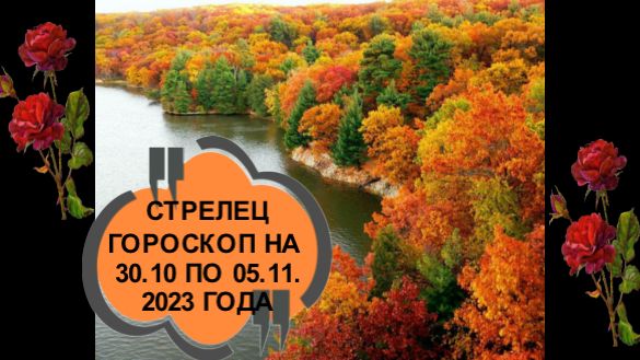 СТРЕЛЕЦ ТАРО-ПРОГНОЗ НА НЕДЕЛЮ С 30.10 ПО 06.11.2023 ГОДА