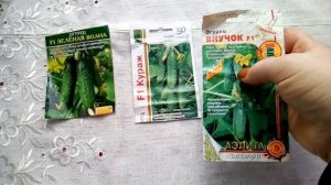 огурцы для жаркого климата.три урожайных сорта. #огурцы