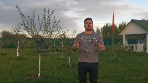 ИНВЕСТИЦИИ в строительство? 30% ГОДОВЫХ