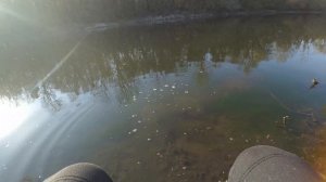 СОМ на МИКРОДЖИГ !/ ВОТ ЭТО УЛОВ ! ВЕСЕННИЙ СПИННИНГ