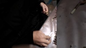 Как прошел наш день. Зимняя прививка плодовых. Саженцы