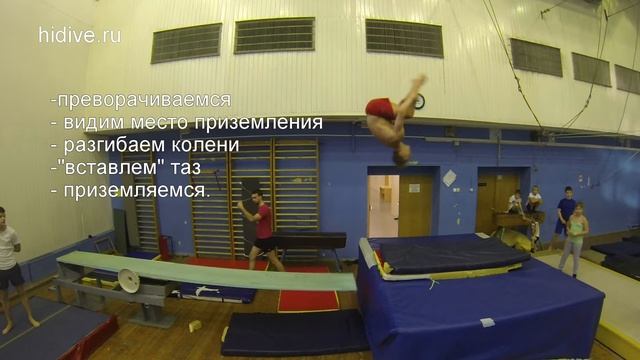 Техника исполнения прыжков в воду. 4 серия (сальто назад) HiDive.ru