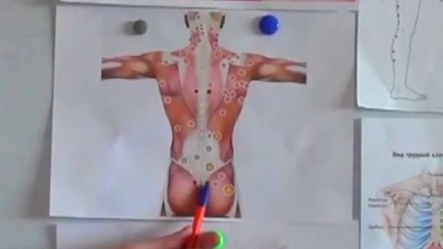 Работа с мячиком смотреть онлайн