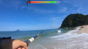 QUASE A CÂMERA NÃO FILMA ESSE PEIXE INCRÍVEL - Dicas de pesca de Praia