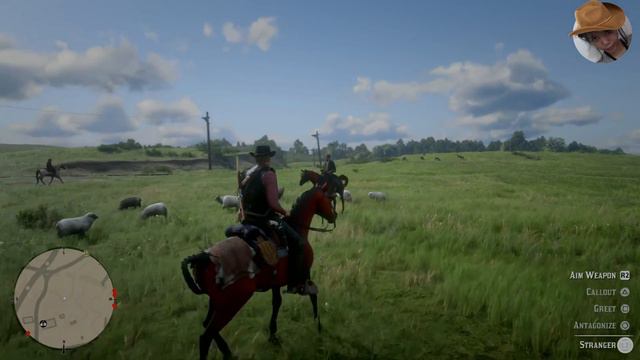 JEREMY GILL ► Red Dead Redemption 2 Gameplay - Stranger Mission [PS4 Pro] смотреть онлайн