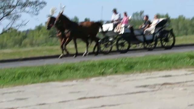 Сказка о пропавшей царской дочери. смотреть онлайн