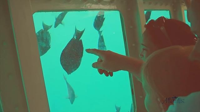 Semi-Submarine Seaworld Explorer Aruba - De Palm Tours смотреть онлайн