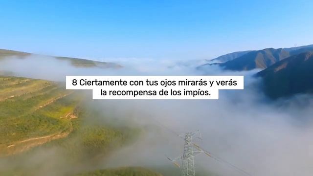 La protección Divina de Dios смотреть онлайн