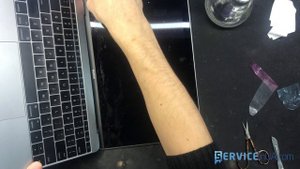 Замена логоборда, ремонт, разборка, Macbook 12/ repair