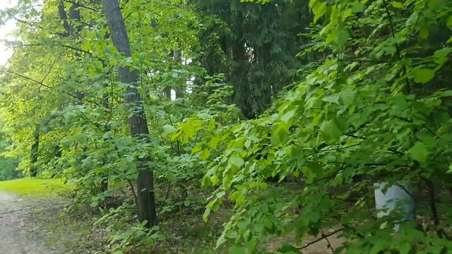 Лена и Ваня LIFE \ Капризная бабушка и Ребенок-Нехочуха отдыху не помеха или... \ Обзор влогов