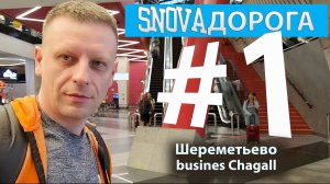 #1 Sheremetyevo. Busines Chagall