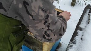 Пчеловодство. Отводки съели за 2 недели канди. Новые дотации. #пчёлы #пчеловодство #зимовкапчёл