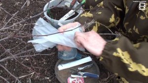 ВОЗДУШНЫЕ ОТВОДКИ - СУПЕР СПОСОБ УКОРЕНЕНИЯ ЧЕРЕНКОВ СПОСОБ №2. ЛУЧШИЙ СПОСОБ РАЗМНОЖЕНИЯ ДЕРЕВЬЕВ