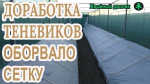 Доработка теневиков с сеянцами хвойных растений в зимний период,питомник "Хвойный дворик"