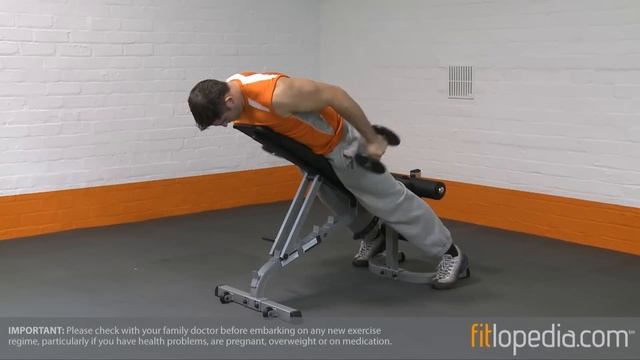 Incline Prone Dumbbell Kickbacks смотреть онлайн