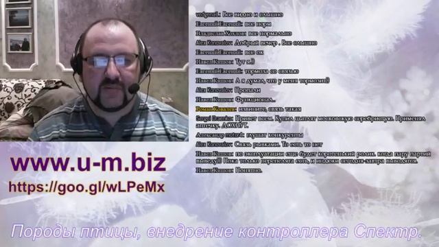 Поговорим про породы птицы и бизнес. Чего Вам не расскажут заводчики! Обзор обзора нашей автоматики смотреть онлайн