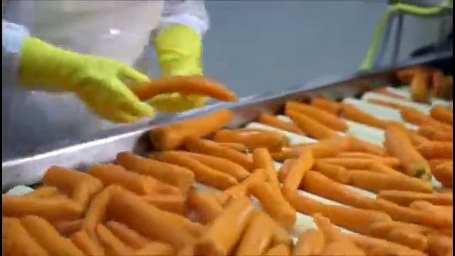 EBAE 2016-2017 - Winner of the Business & Biodiversity Award: HiPP смотреть онлайн