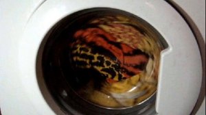 Стирка постельного белья в стиральной машине. Как стирать постельное белье правильно