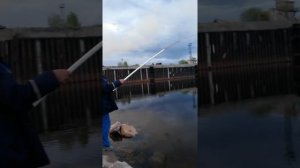 Супер рыбалка Усть кут Река лена